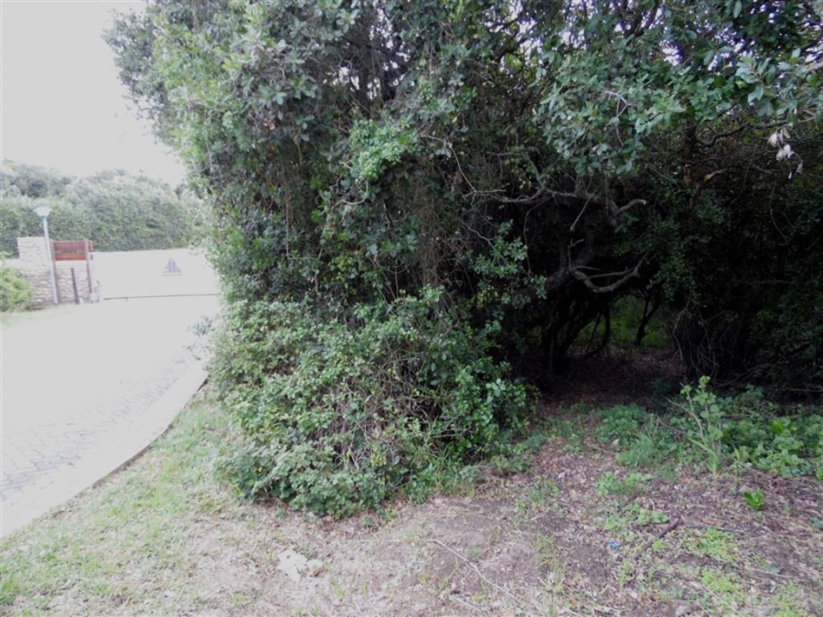 0 Bedroom Property for Sale in Gamtoos Mouth Eastern Cape